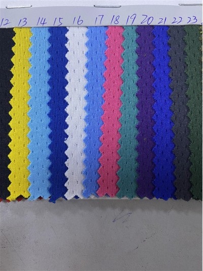 ZJ-DC S0242 細鳥眼 克重：220GSM  門幅：185CM   成份：100%Polyester 吸濕排汗 正面照